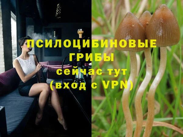 трава Абаза